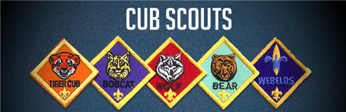 Cub Scouts 